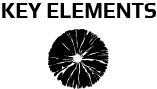 Key Elements